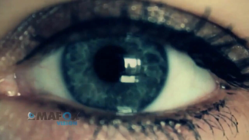 Reel Intro - Profesjonalne Czołówki Wideo & Animacje Logo | Ma